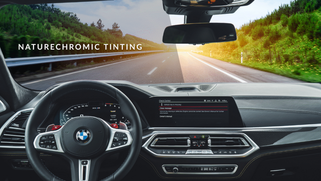 Naturechromic Tint Kepong