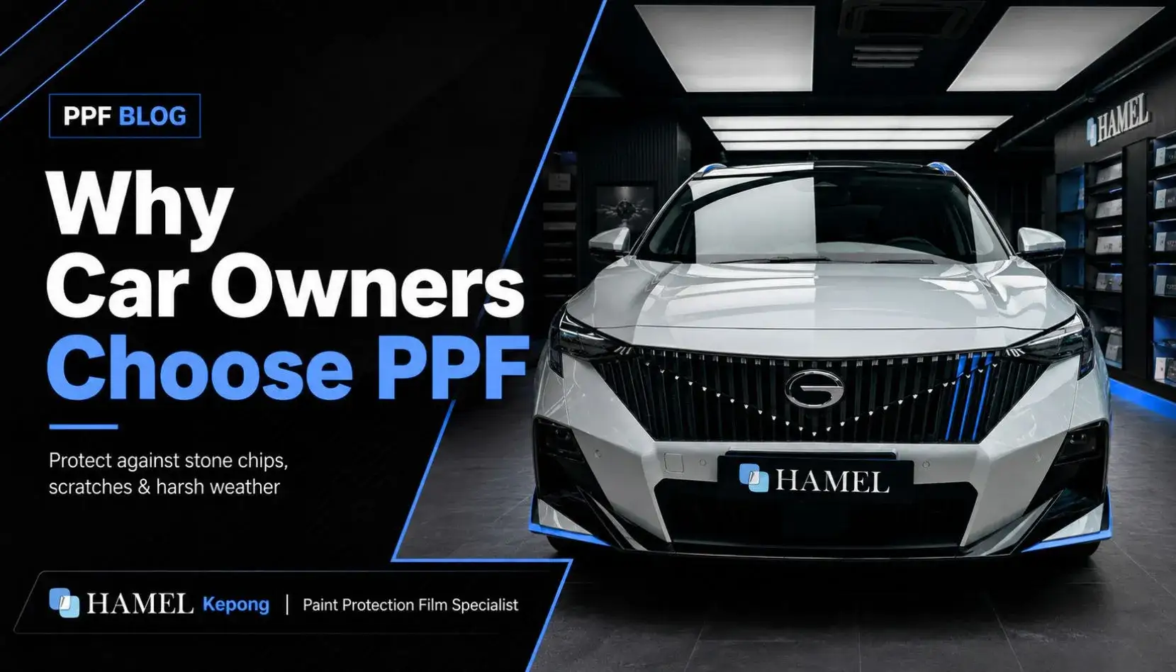10 Surprising Damages Paint Protection Film Can Prevent…
